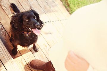 A pregnant couple with their black dog