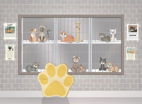 illustration of the cat shelter