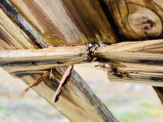 廃材の穴裏側