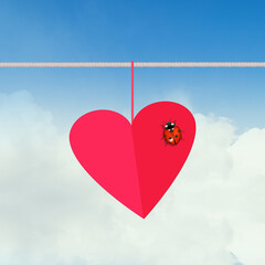 decoration of hanging heart with ladybug