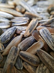 sunflower seed