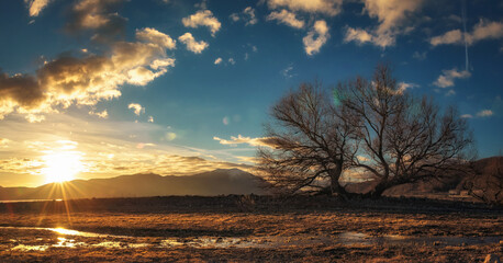Fototapeta premium landscape with clouds and trees in the field
