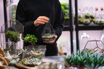 Woman holding glass geometric florarium vase with mini succulent garden and florarium vases at table. Professional florist concept. Colorful plants growing in glass geometric
