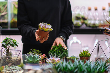 female holds glass florarium vase with succulent plants Small garden with miniature plants. Home...