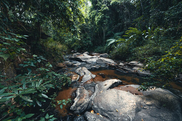 A stream and rocks in a tropical natural forest
