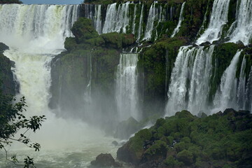 Fototapeta premium Argentina, Iguazu falls