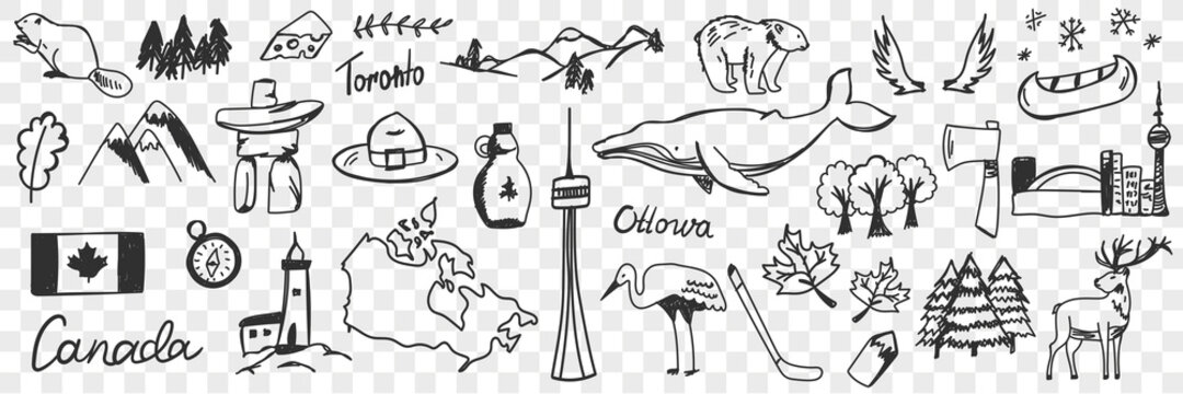 Canadian symbols and signs doodle set. Collection of hand drawn canadian traditional maple leaf flag wildlife mountains deers snow heron beer whale and names isolated on transparent background