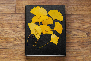 heart shaped leaf gingko tree yellow on paper background