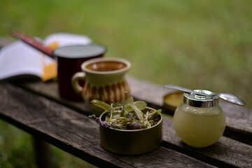 Natural herbal tea served with honey outside in nature along with a book. living a healthy life close to nature