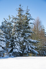 winter im erzgebirge