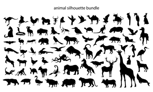 animals silhouette vector graphic. icon illustration for logo design. wildlife and pet.