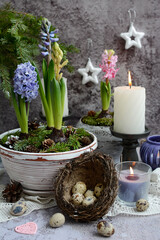 Vertical Easter composition. Quail eggs in a natural bird's nest, lilac hyacinths in a pot, candles and decor on a gray background. Spring