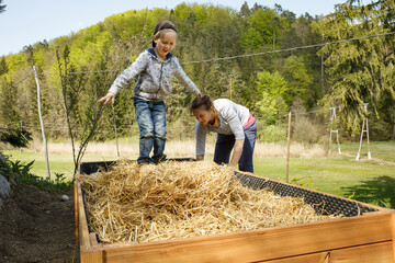 Mother layering straw mulch in a raised garden bed while her son is having fun. - 414443093