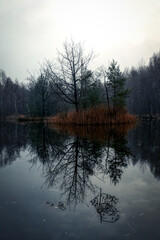 Fototapeta na wymiar Stiller See in der Ohligser Heide im Winter