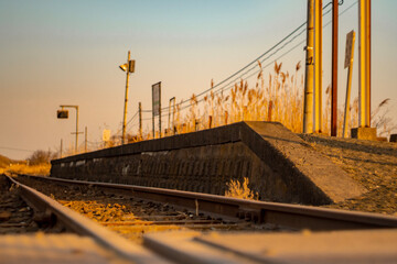 railway in the sunset