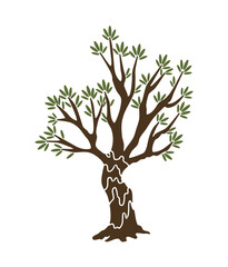 Olive tree with branches and green leaves banner. Hand drawn ancient greek label, natural vegetarian shop sign. Premium quality design concept