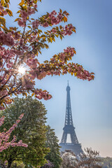 Fototapeta na wymiar Eiffel Tower with spring trees against sunrise in Paris, France