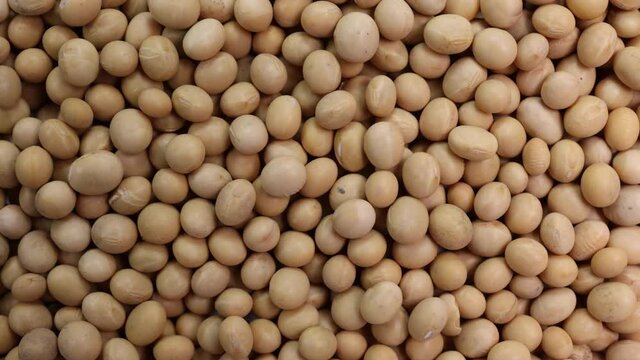Soyabeans soya beans slide glide over motion 