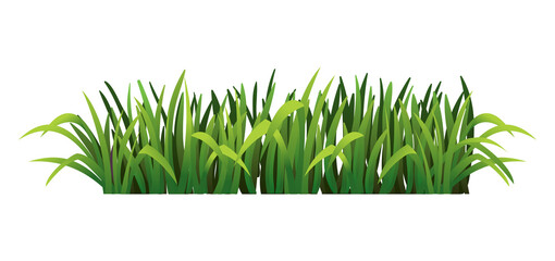 Green grass border. Fresh green grass. Isolated on transparent background. Illustration for use as design element