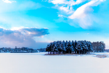 winter landscape with trees