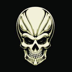 the skull head vector illustration