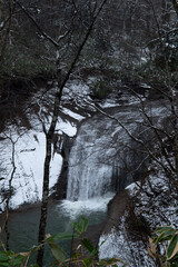 river in the forest