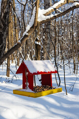 Wooden colorful bird feeder - 414447087