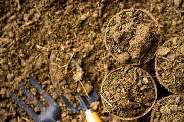 Dung or manure on the farm when the morning sun is shining.