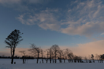sunset in winter
