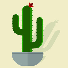 cactus in a pot decorative table decoration illustrations