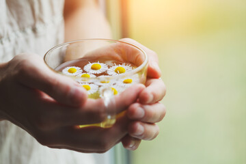 female hands holding cup of herbal tea with chamomile flowers