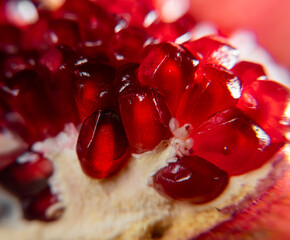 Ripe pomegranate seeds