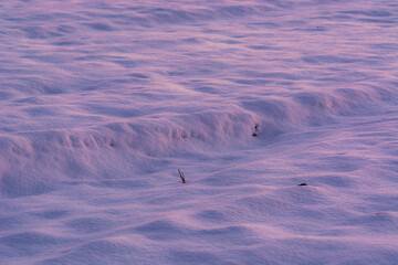 Schneedecke auf dem Feld