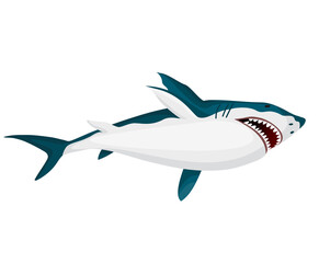 Shark. Big dangerous marine predator. Toothy swimming angry shark. Underwater character of sea animal. illustration of Marine wildlife