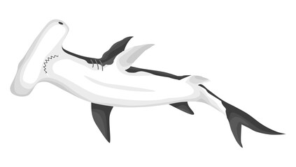 Obraz premium Hammerhead shark. Big dangerous marine predator. Underwater sea animal. illustration of Marine wildlife