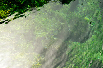 grüne Algen in klarem Wasser. Rein, sauber, Fluss, Natur, Wasserpflanzen. Bildhintergrund, Textfreiraum