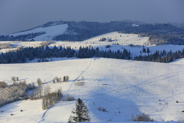 Fototapeta na wymiar winter in Carpathians