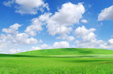 Idyllic view, green field and the blue sky with white clouds