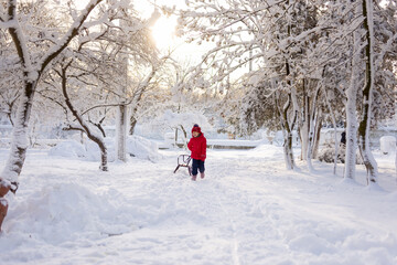 A little girl walks in a winter park and pulls a sled. Trees and road in the snow. The child walks alone.