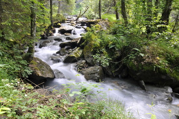 Obraz premium Torrent glaciaire Bionnassay - Mont Blanc