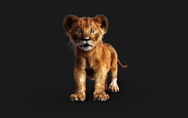 Naklejka na ściany i meble 3d Illustration Portrait of Little Lion Cub Isolated on Dark Background with Clipping Path.
