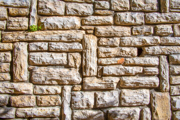 Stone wall texture. Stone wall as background or texture. a green plant sprouted on the wall.Part of a stone wall, for background or texture