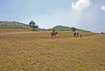 Horseback riding in hilly terrain