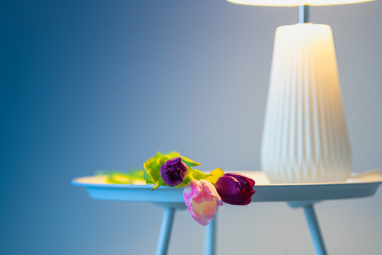 A couple of rose and purple tulips on a table text to a white lamp against blue background