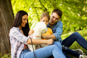 Fototapeta premium Beautiful happy family is having fun with bichon dog outdoors