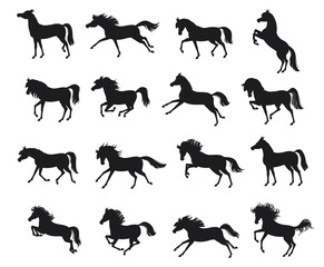 Set with horse silhouettes. Vector illustration. Horses for logos. Vector isolated illustration.