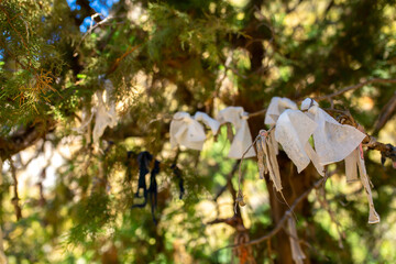 Ribbons tied on trees for luck and fulfillment of desires ritual and tradition