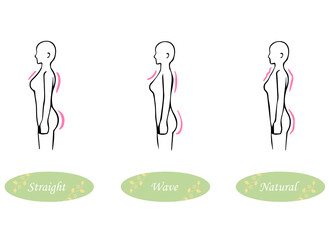 骨格診断　3タイプ　横　側面　体型イラスト（ストレート・ウェーブ・ナチュラル）