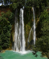 Obraz premium waterfall in the forest