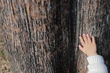 person in the window